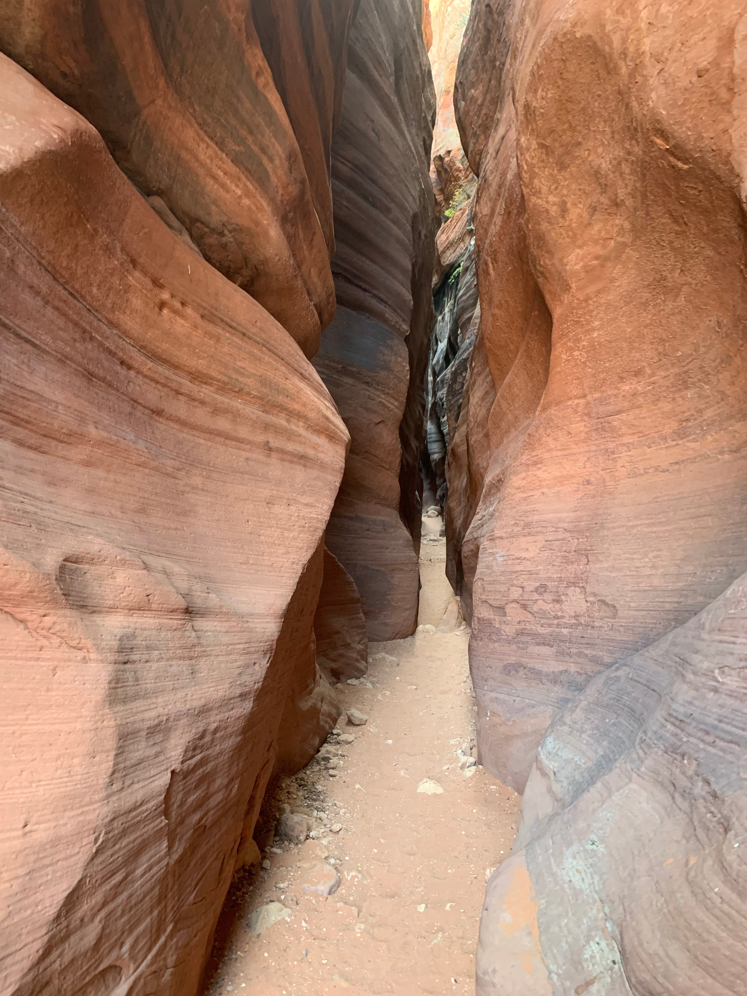 Vermillion Cliffs NM